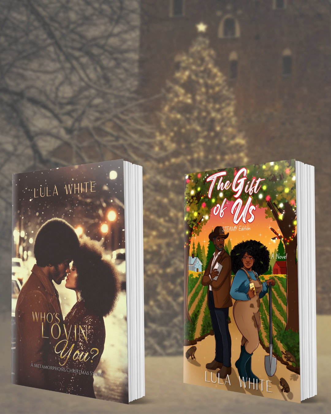 History & Heat for Christmas - Two Paperback Novels